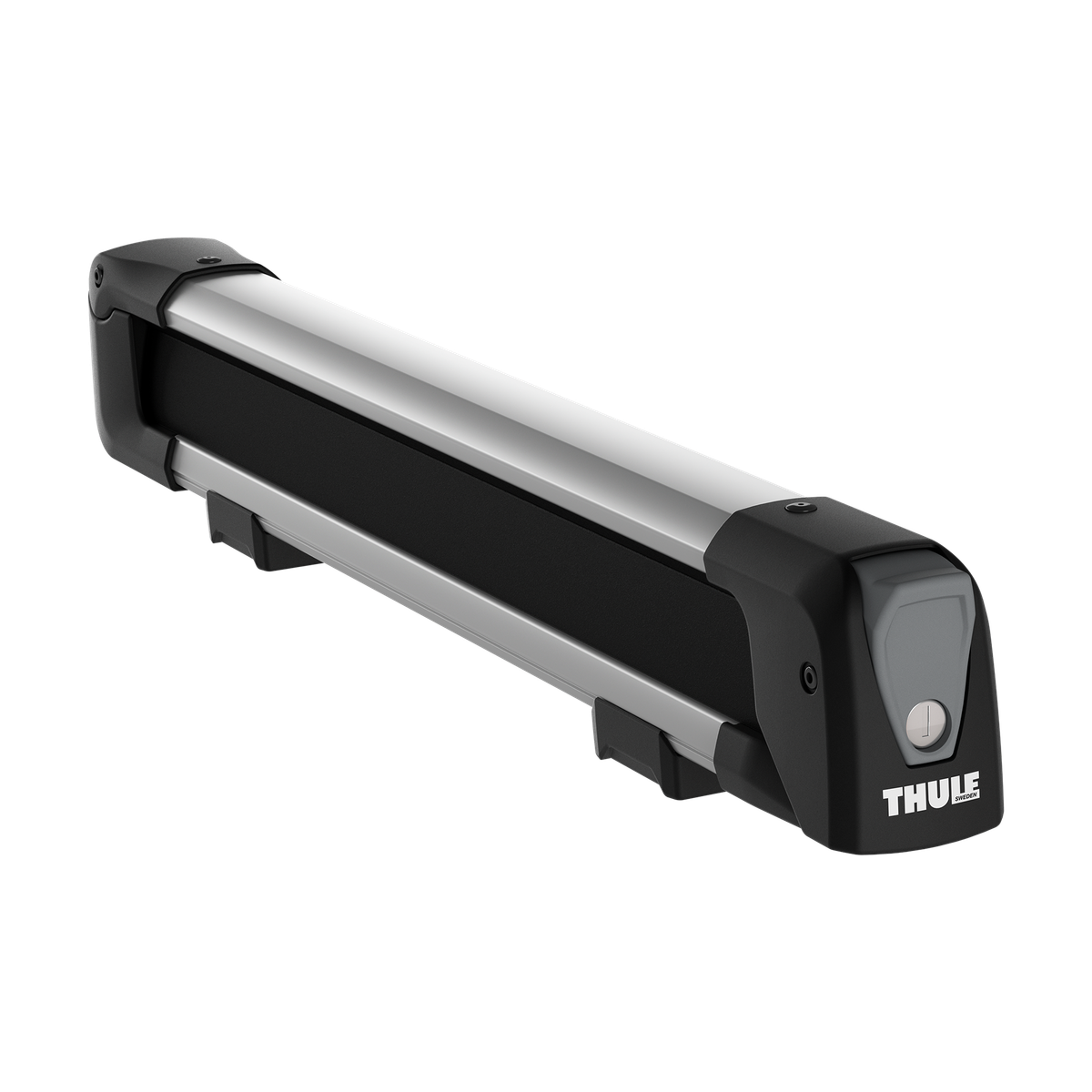 Thule SnowPack M