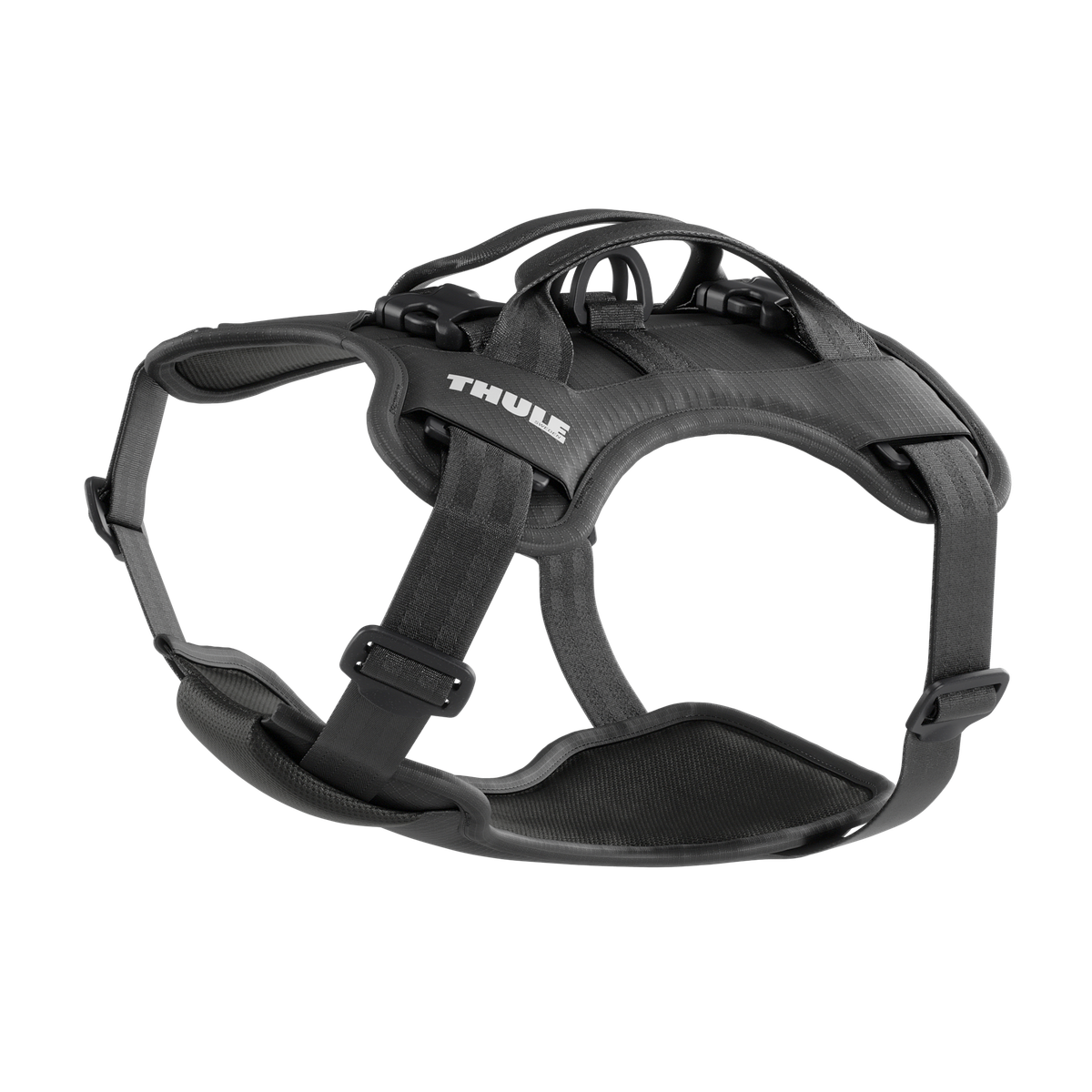 Thule Cappy
