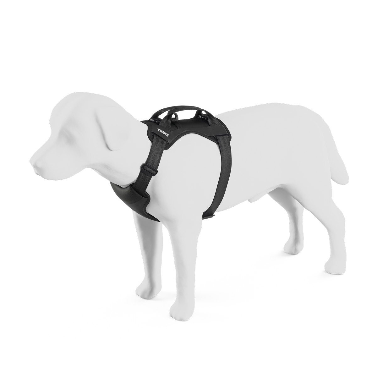 Thule Cappy
