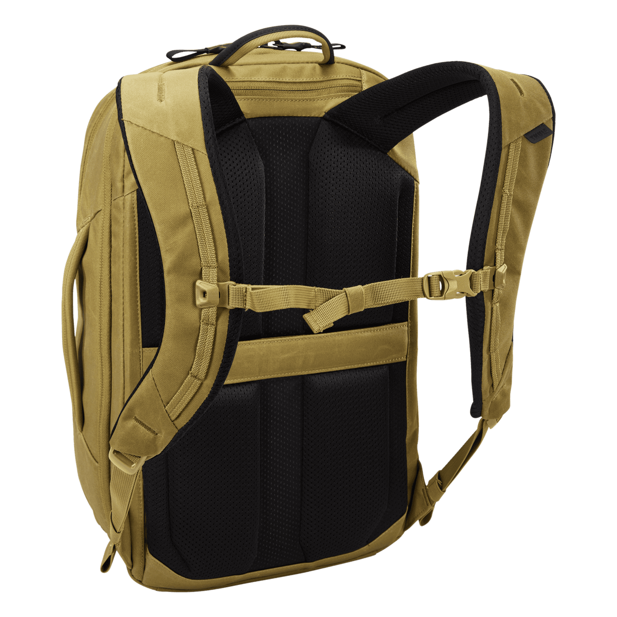 Thule Aion