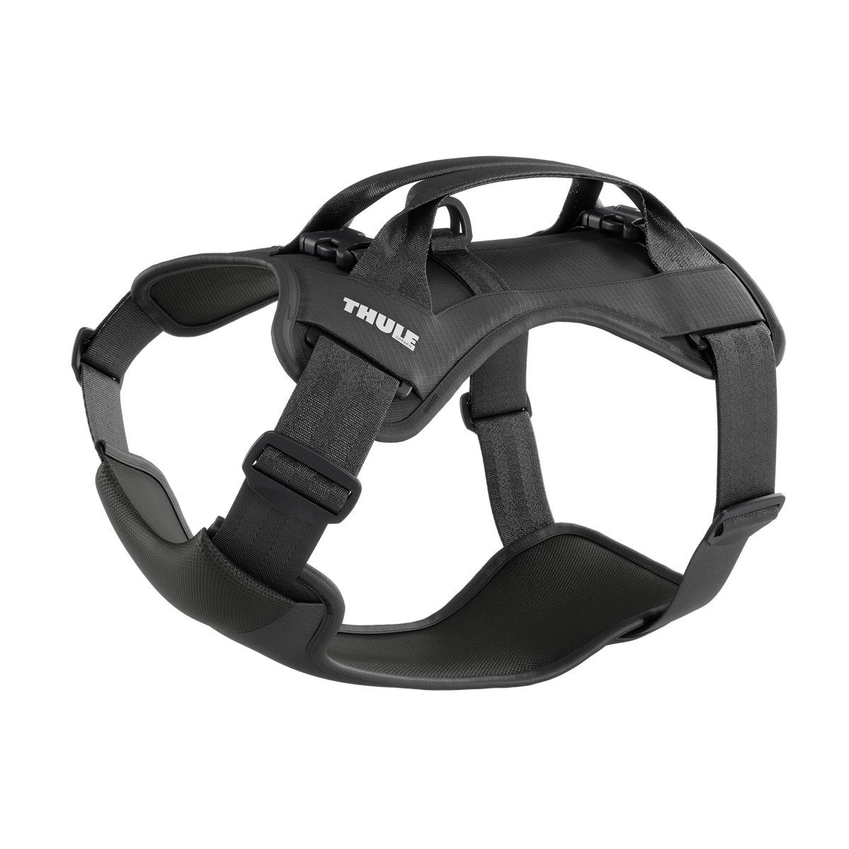 Thule Cappy