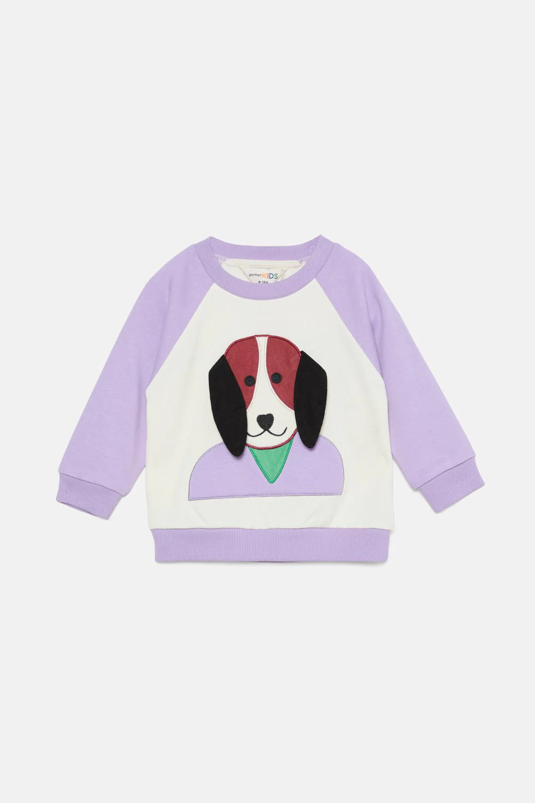 Pup Guy Baby Sweater