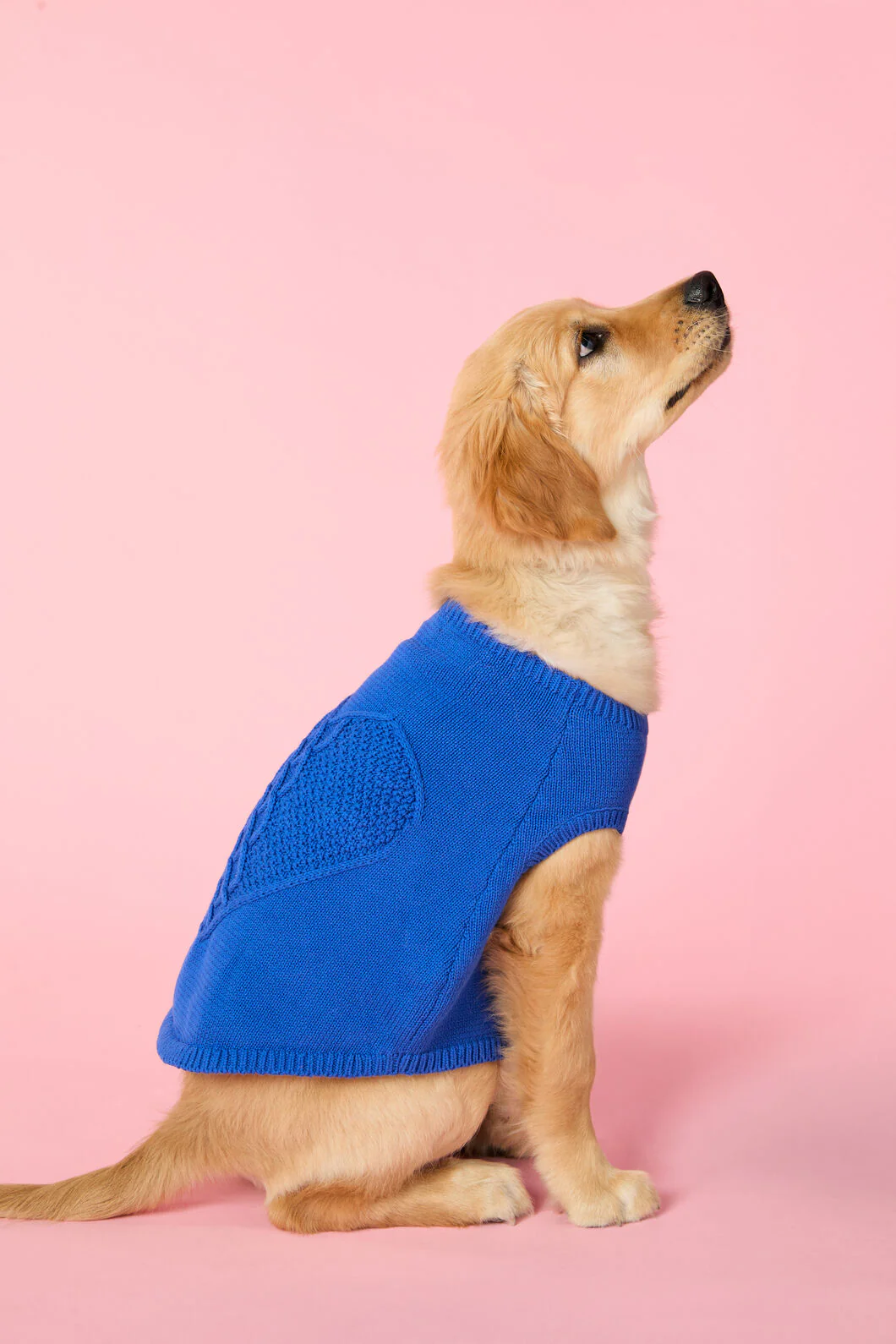 Heart Felt Knit Dog Jumper - Blue