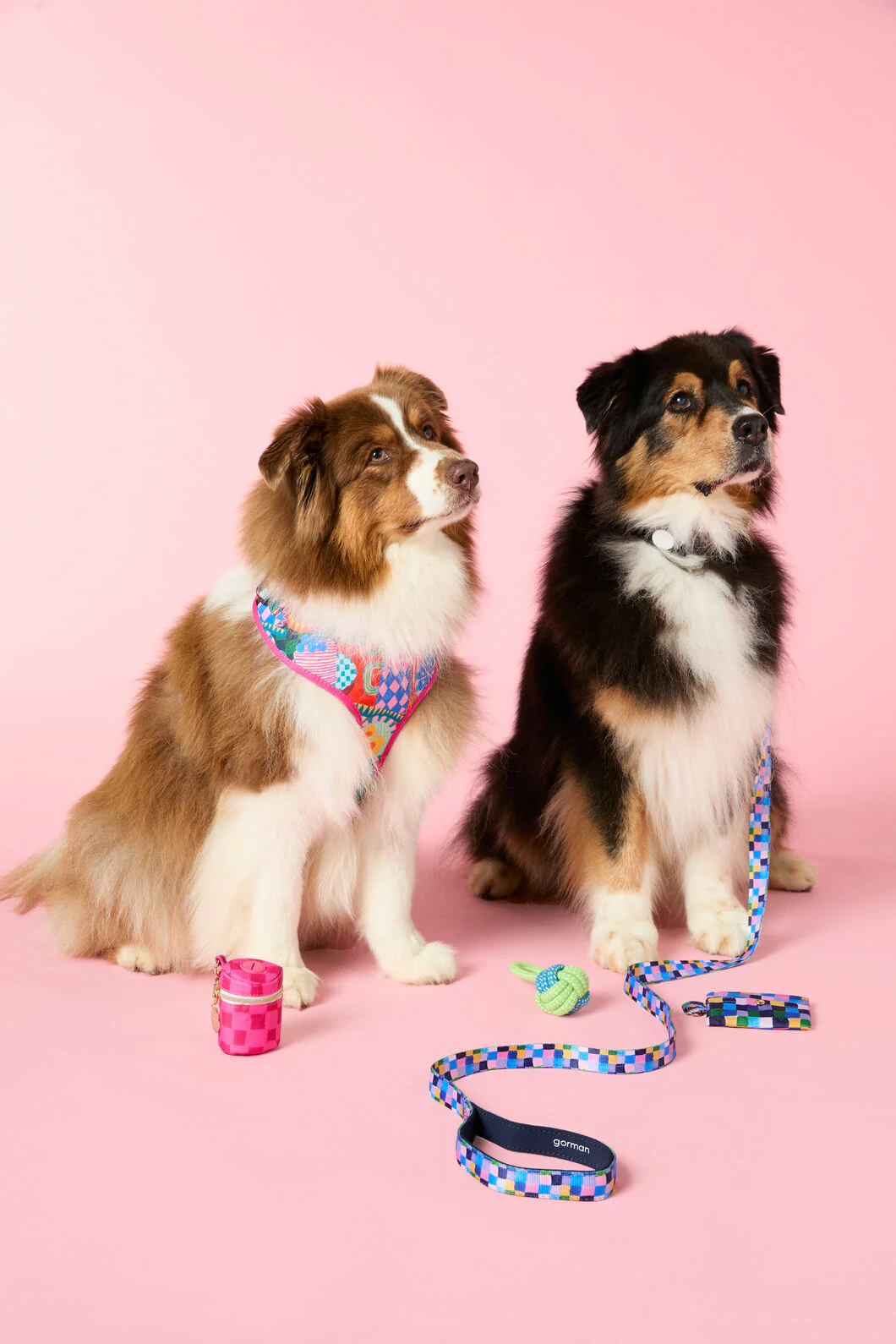 Checkers Pet Gift Set