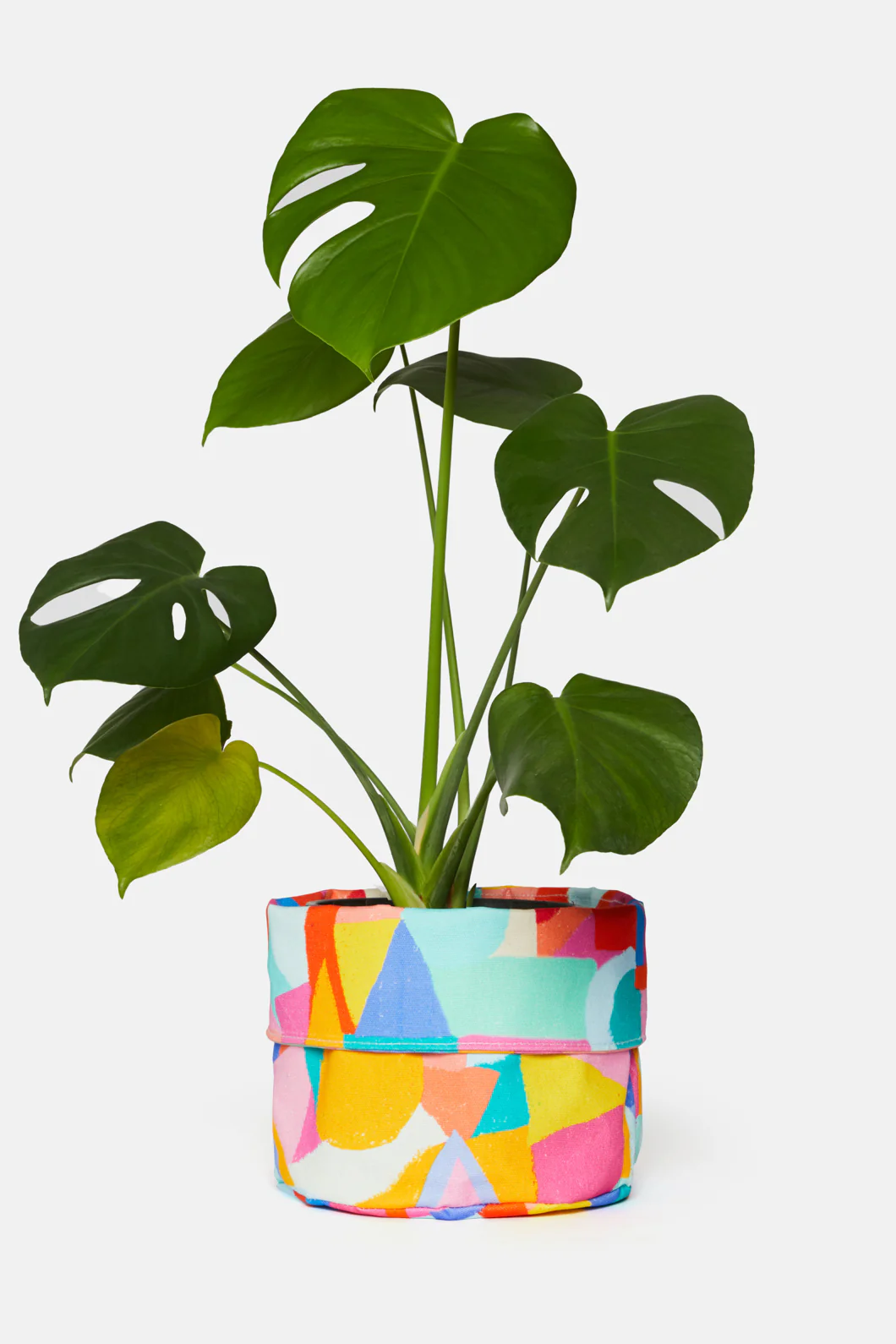 Geo Sketch Medium Planter