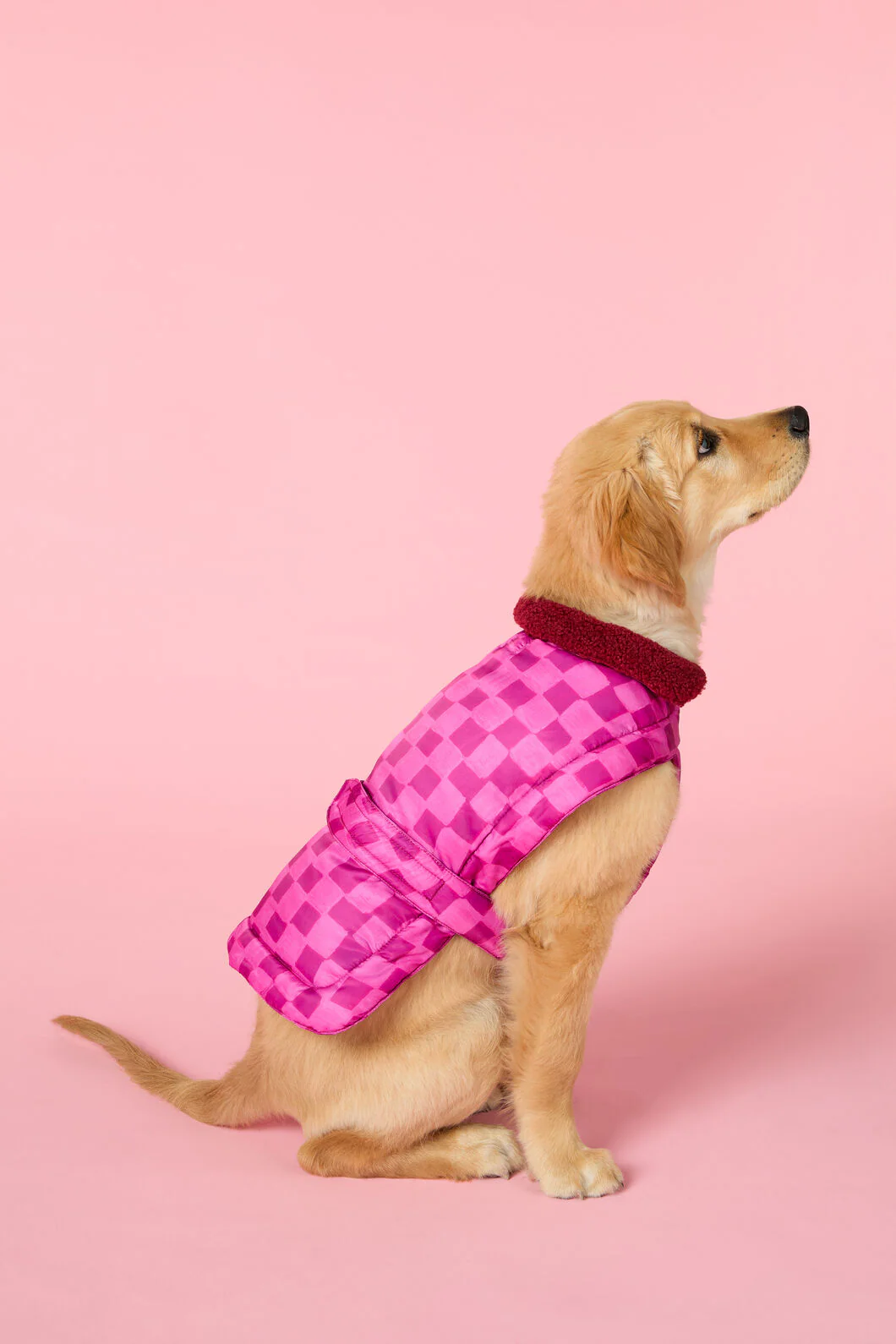 Blush Grids Dog Puffer
