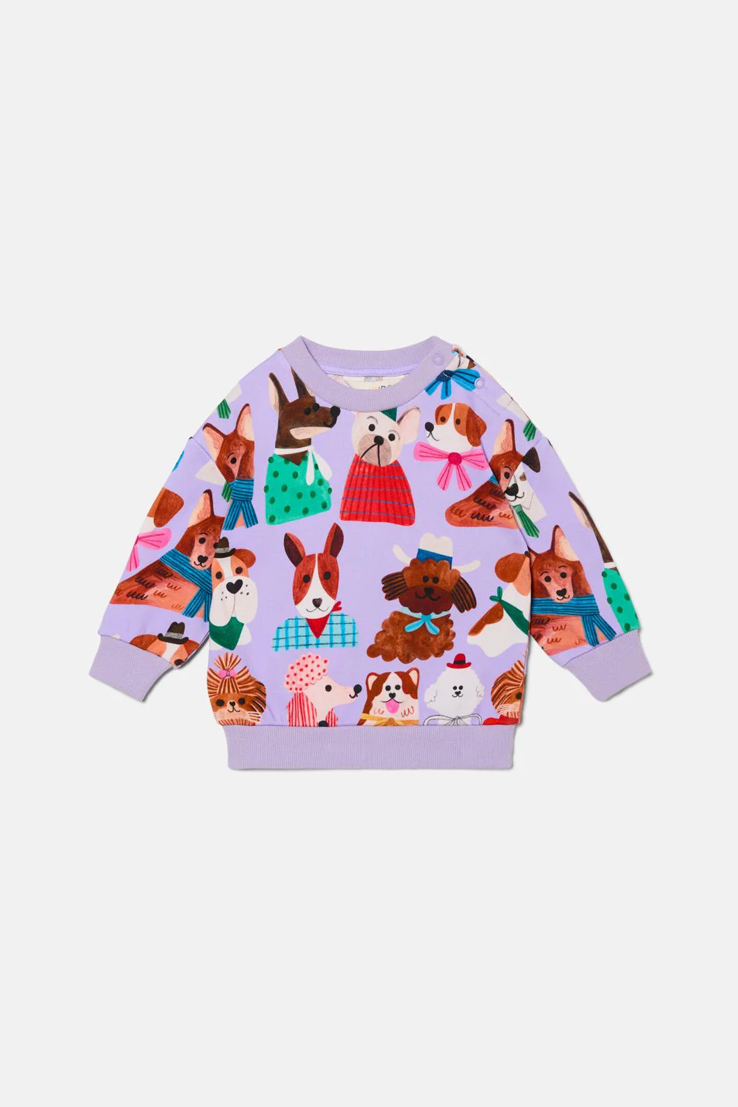 Puppys Baby Sweater