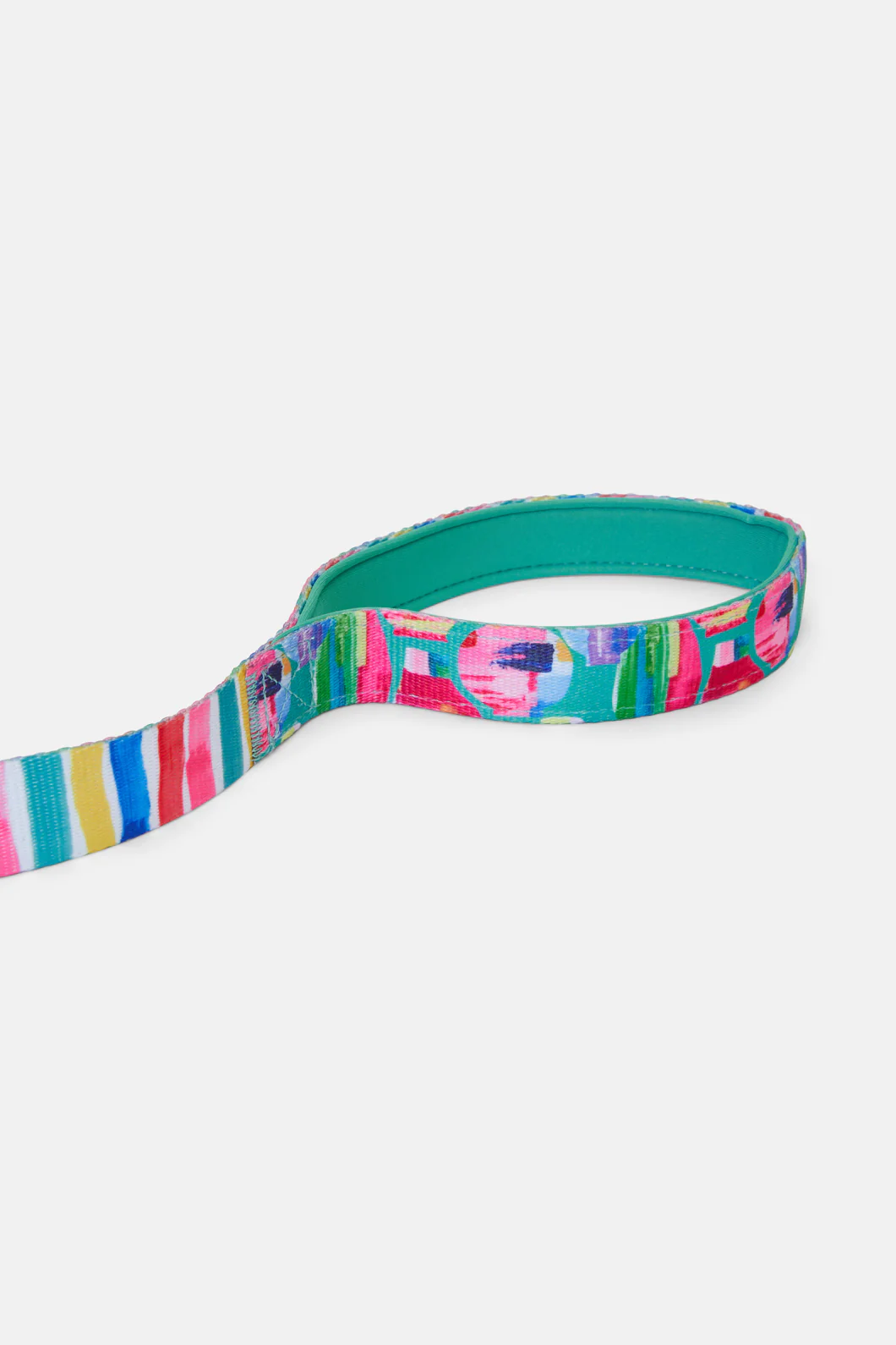 Painted Jars Pet Lead