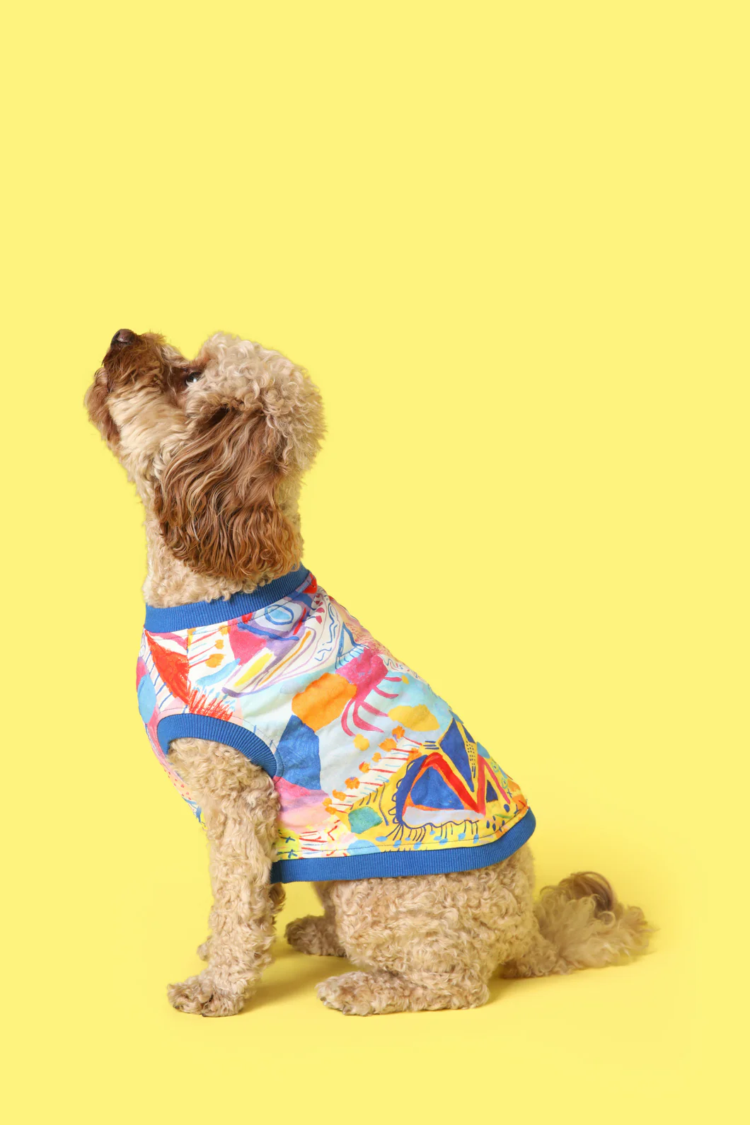Aquatic Pet Jumper