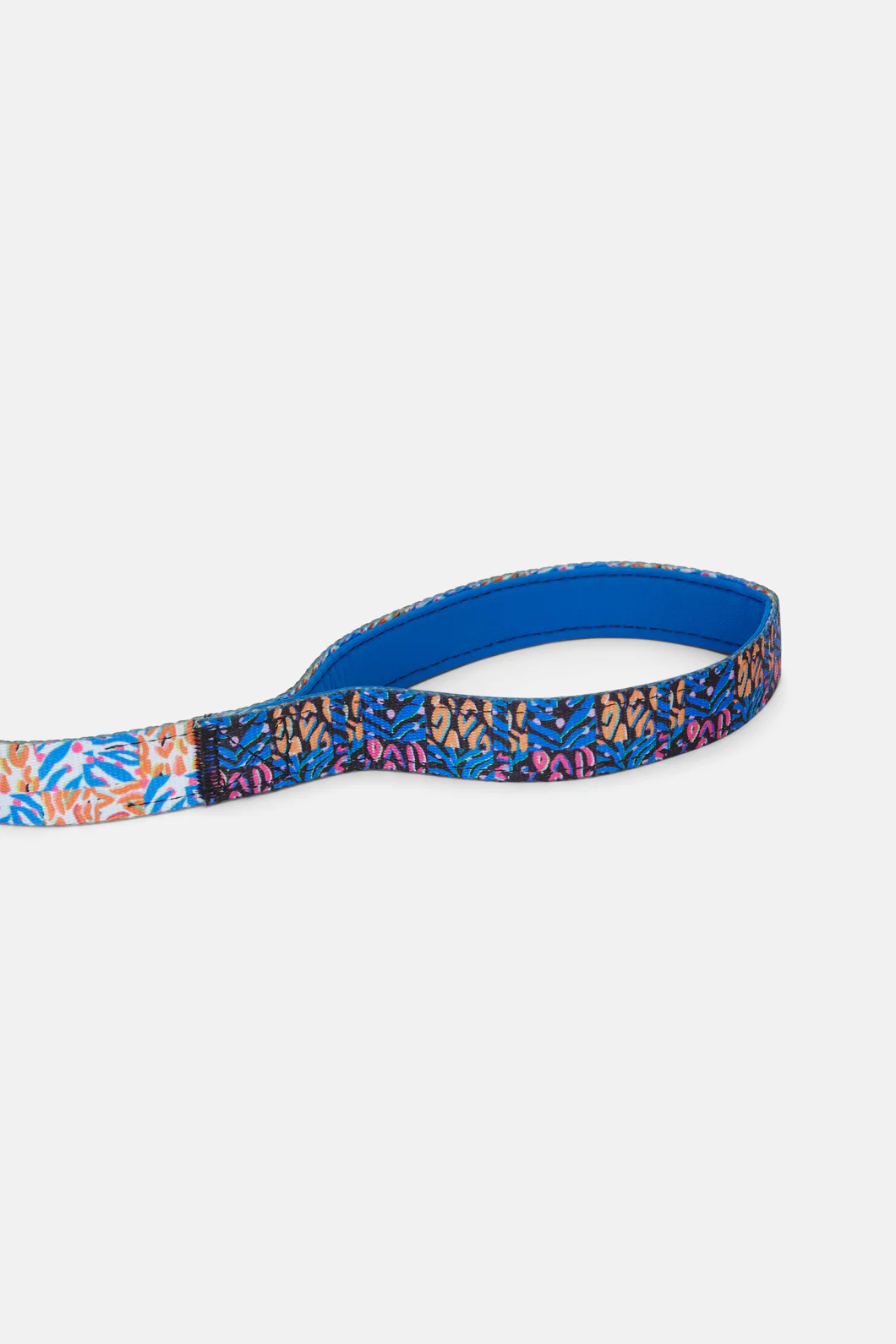 Animal Pet Lead