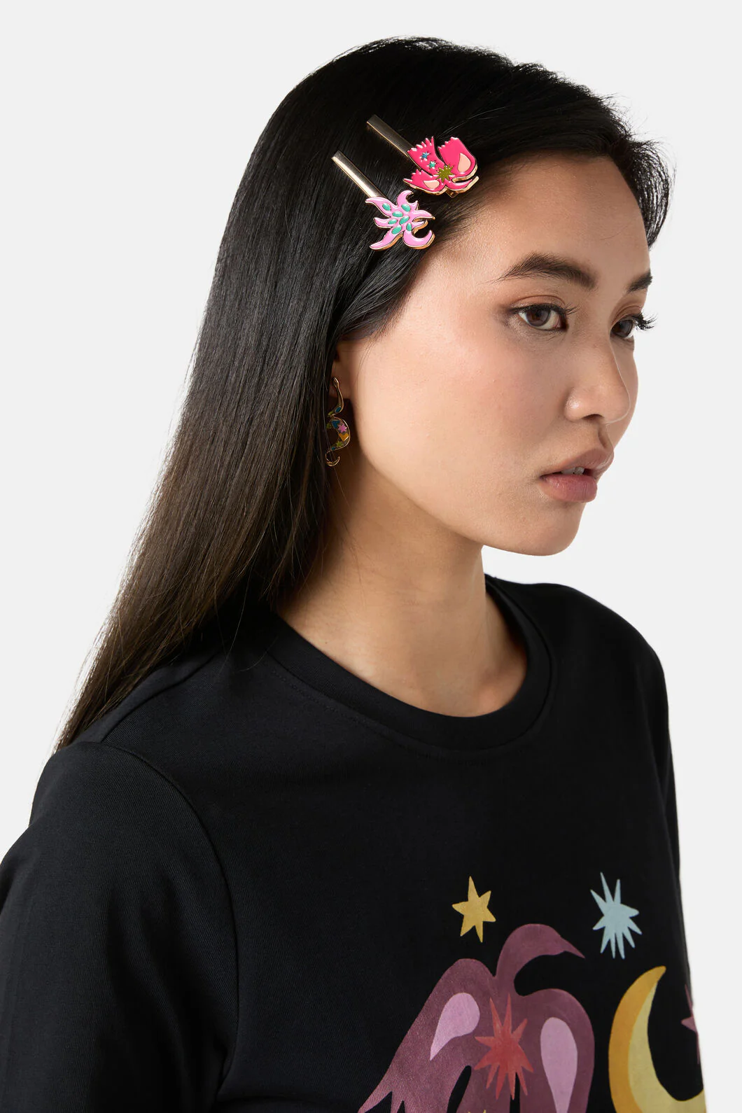 Desert Garden Hair Clip Set x2