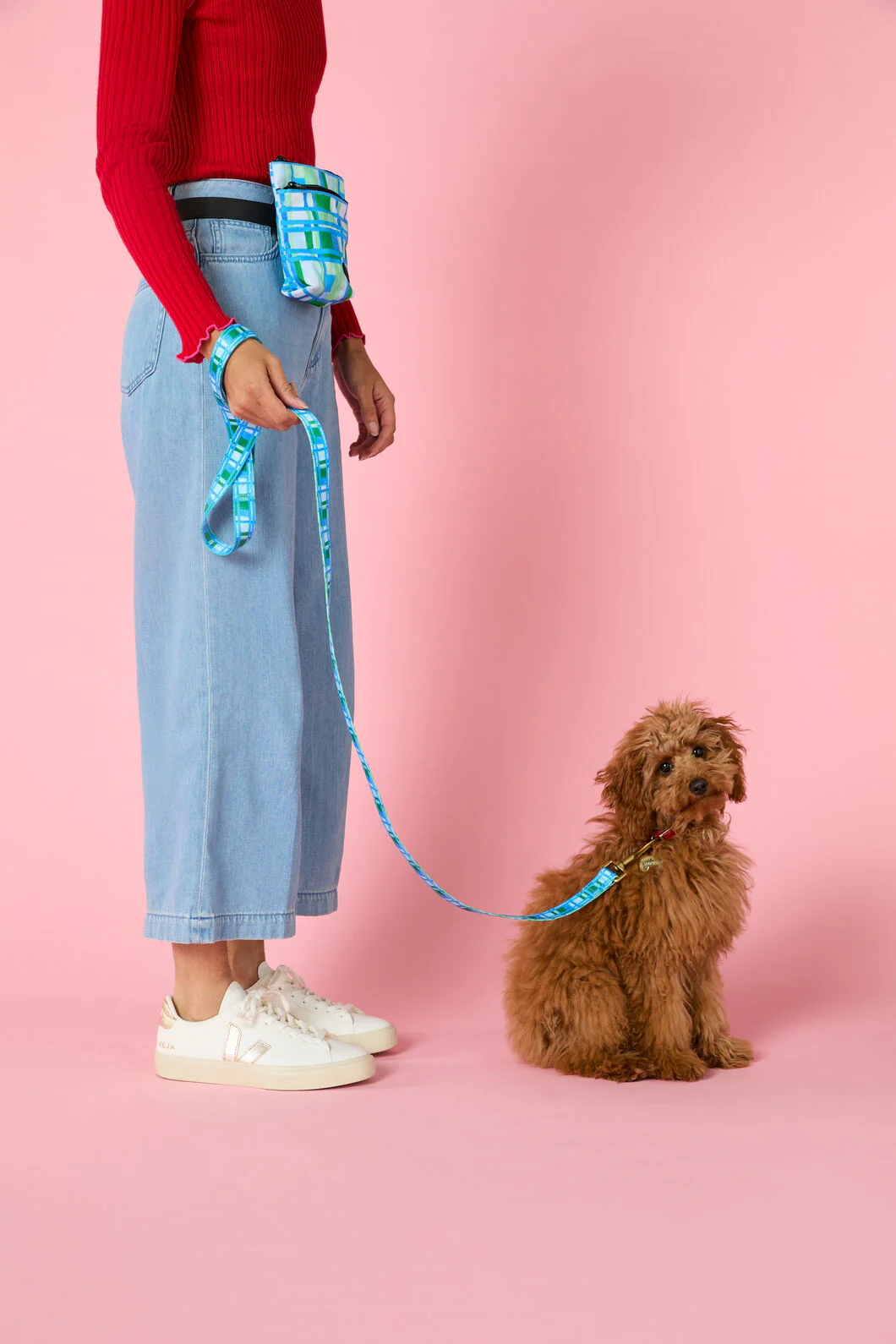 City Streets Pet Gift Set