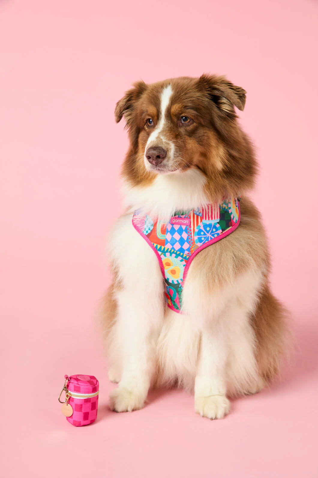 Bon Appetite Pet Gift Set