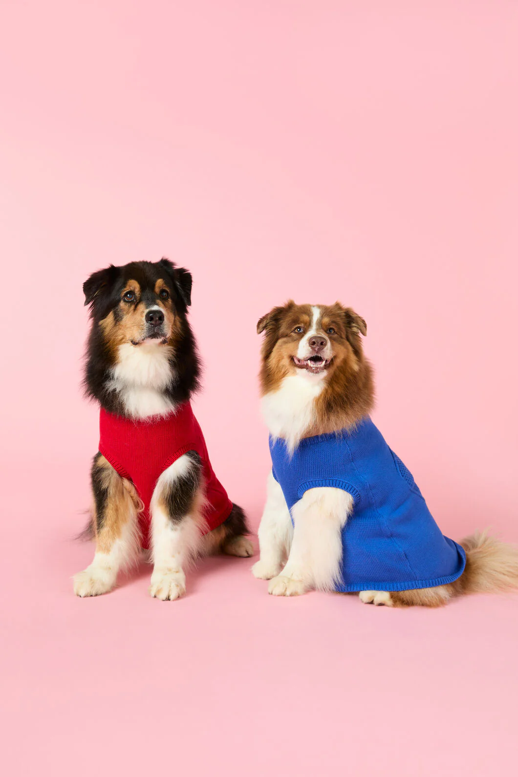 Heart Felt Knit Dog Jumper