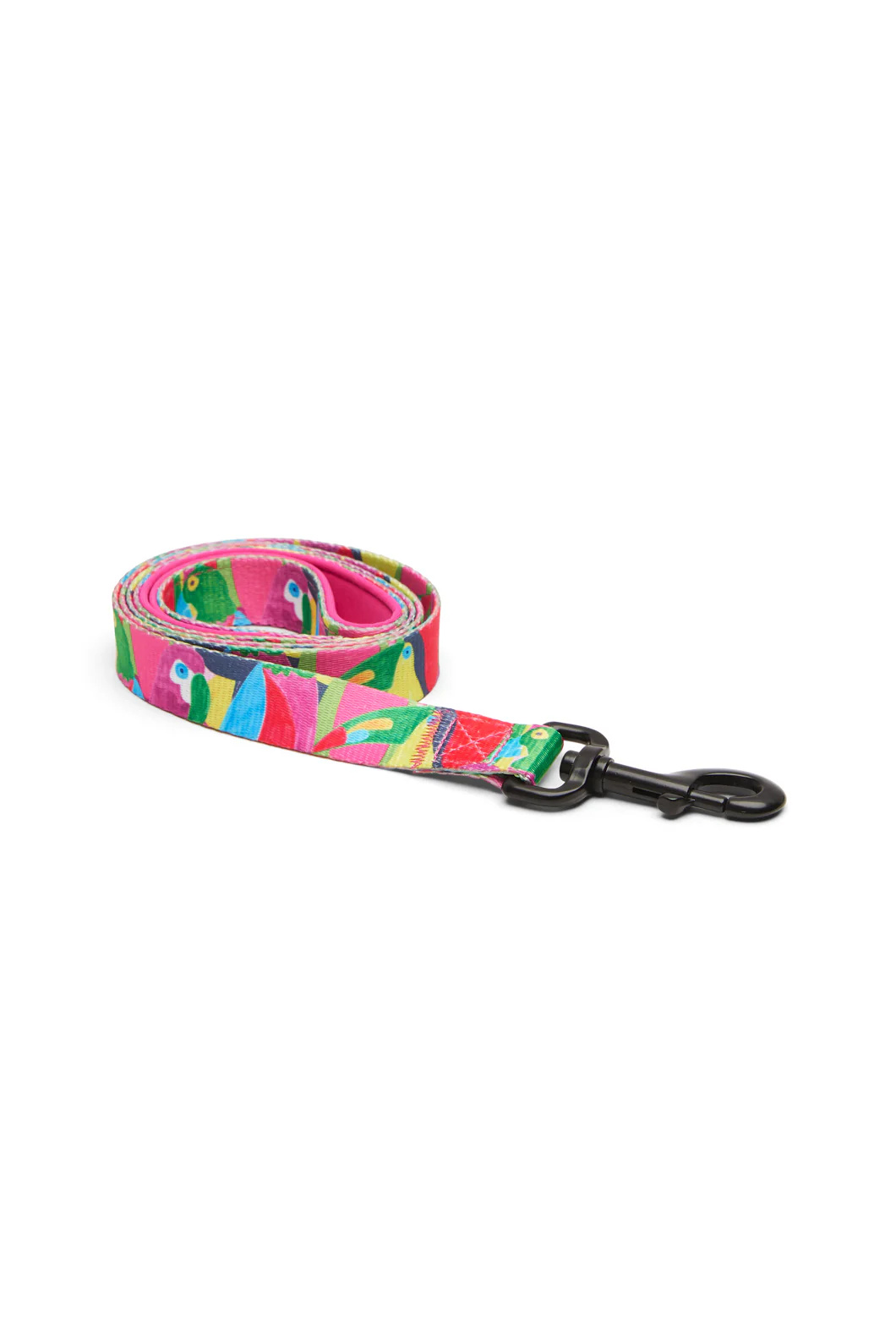 Parrot Party Lead L