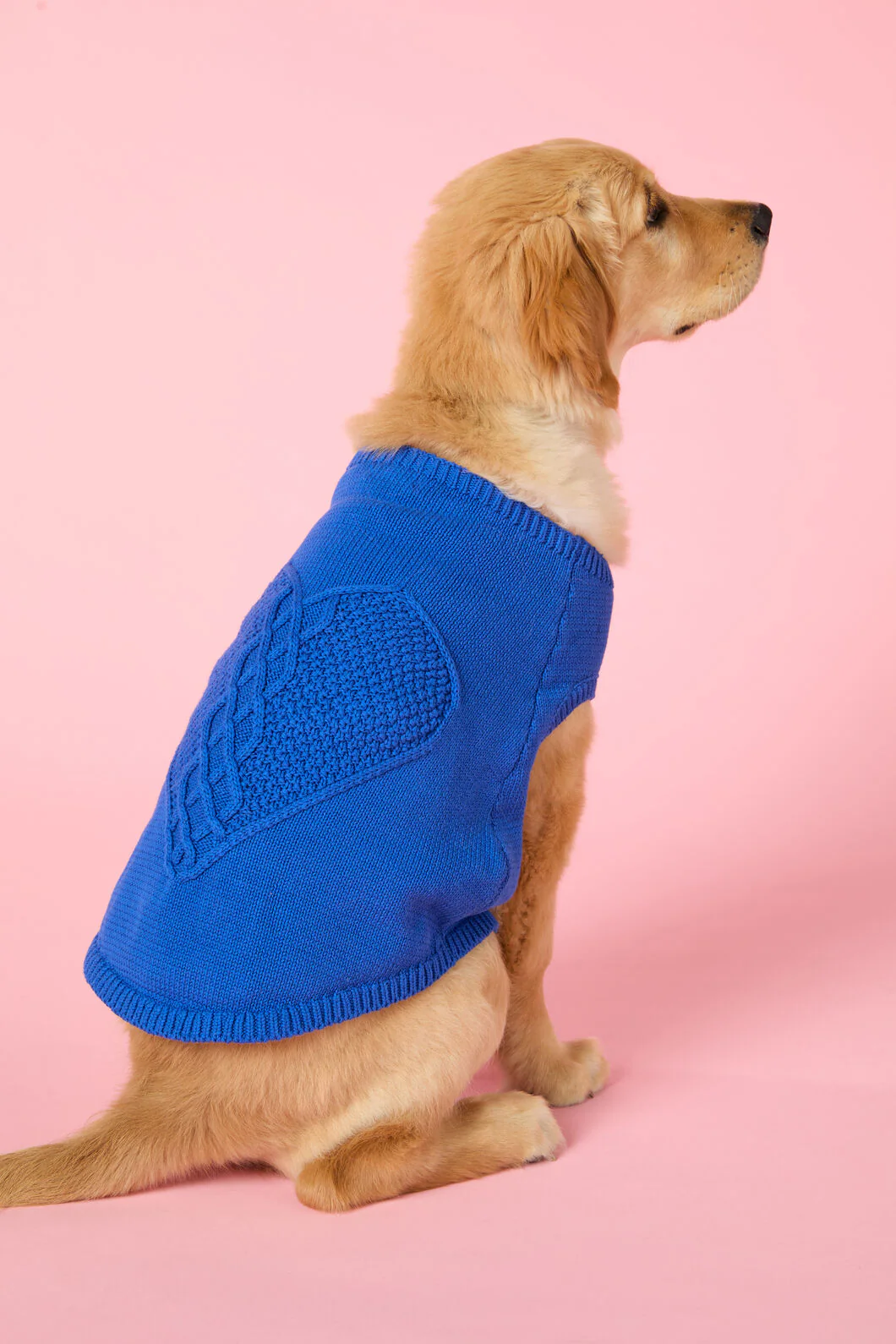 Heart Felt Knit Dog Jumper - Blue