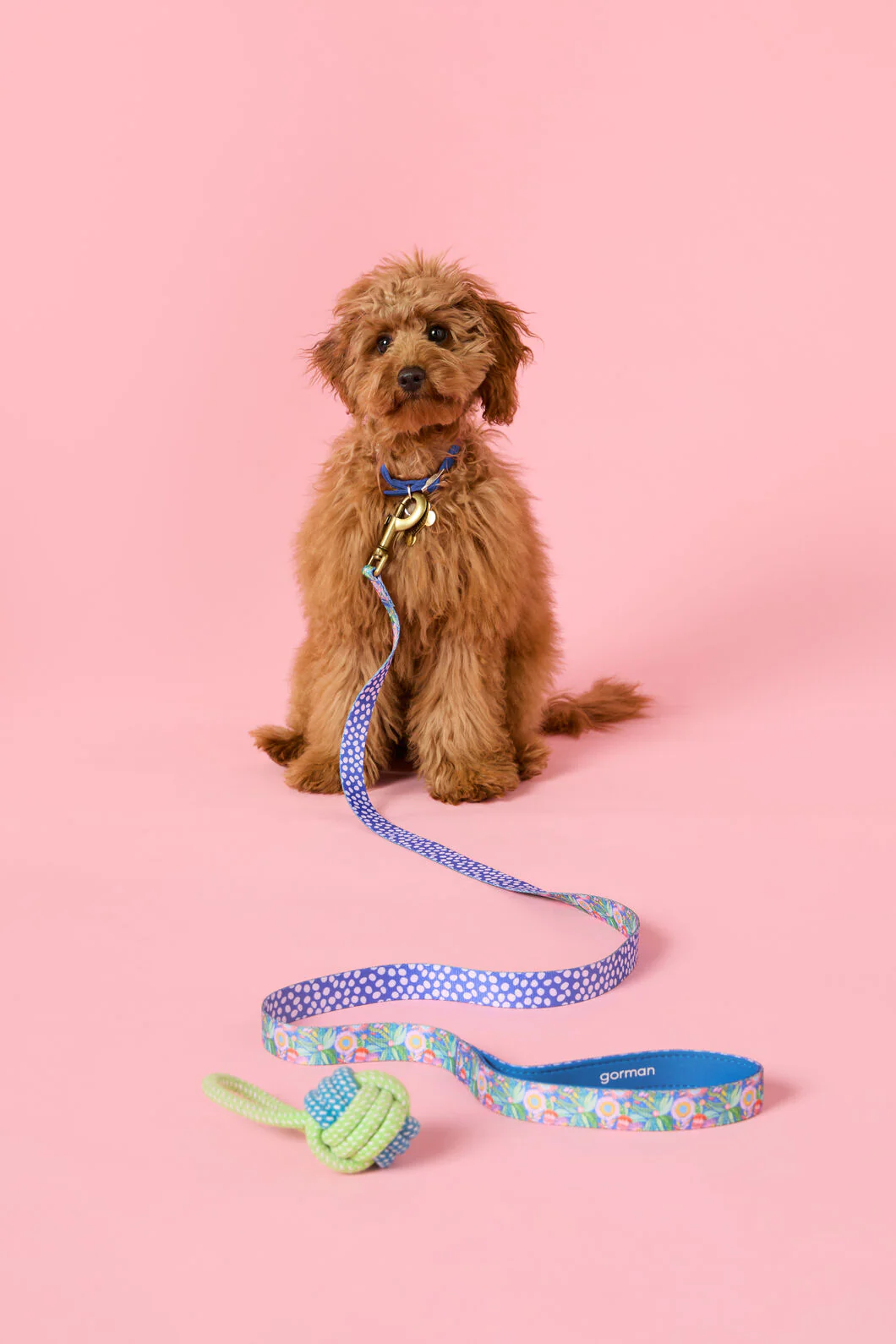 Garden Pet Gift Set