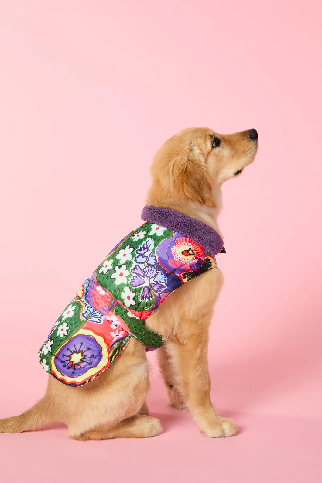 Petal Palette Dog Puffer