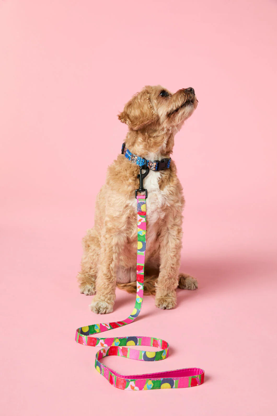 Parrot Party Lead S