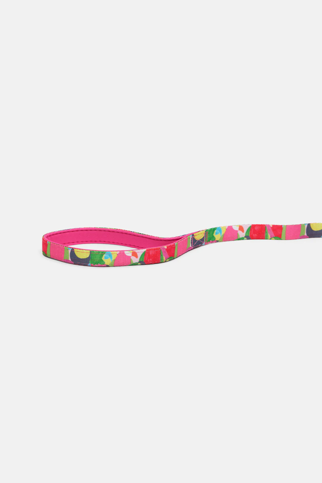 Parrot Party Lead S