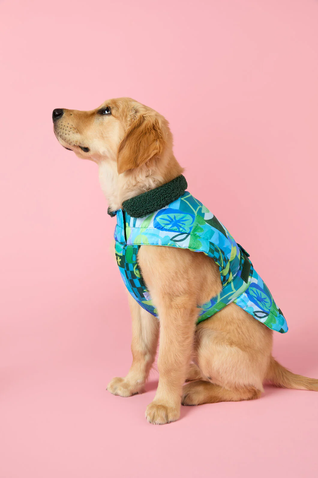 Leaves Dog Puffer