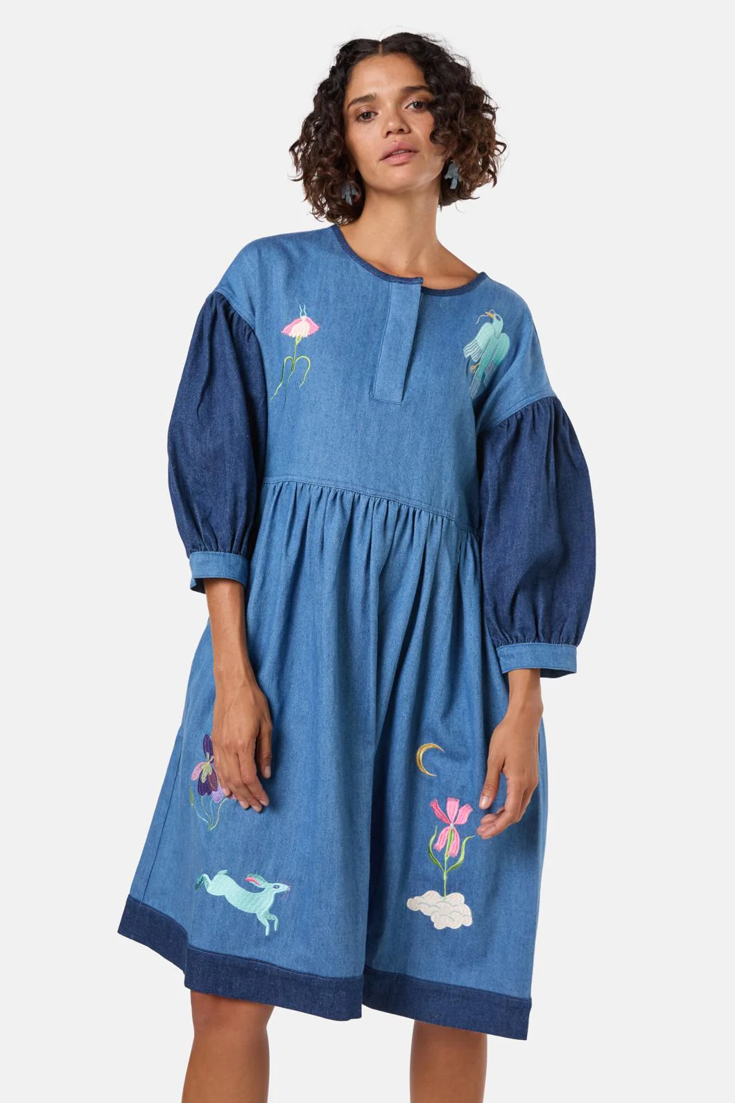 Daydream Denim Dress