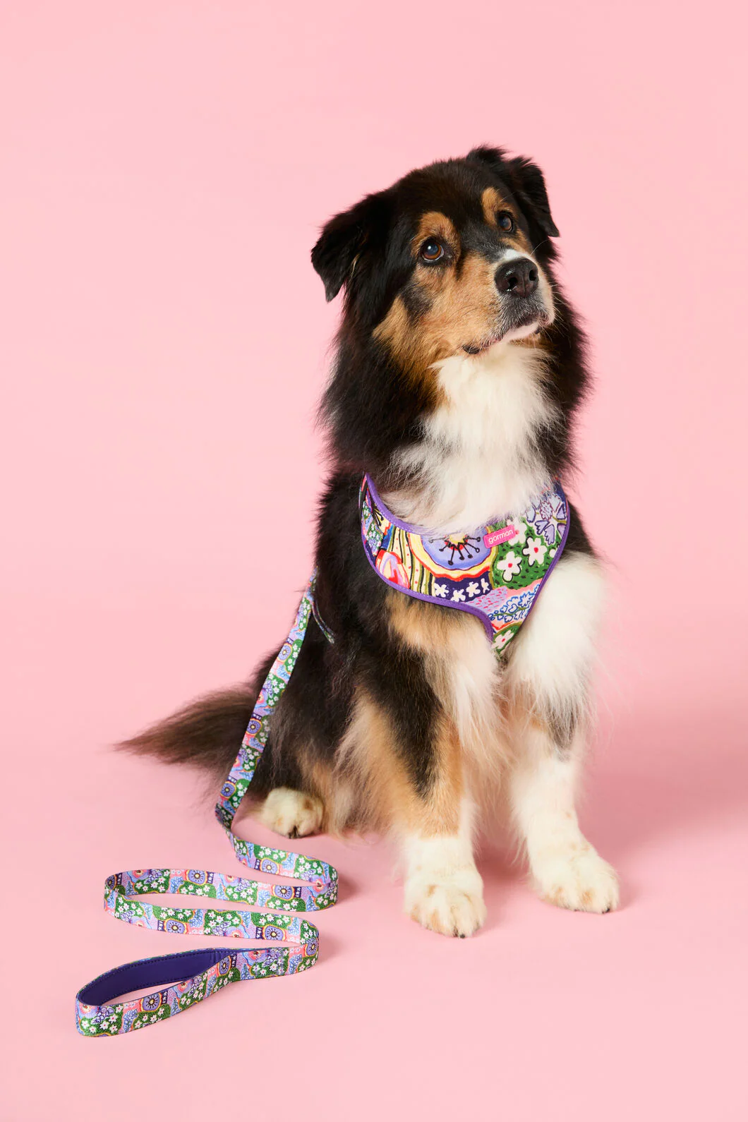 Petal Pallette Pet Gift Set