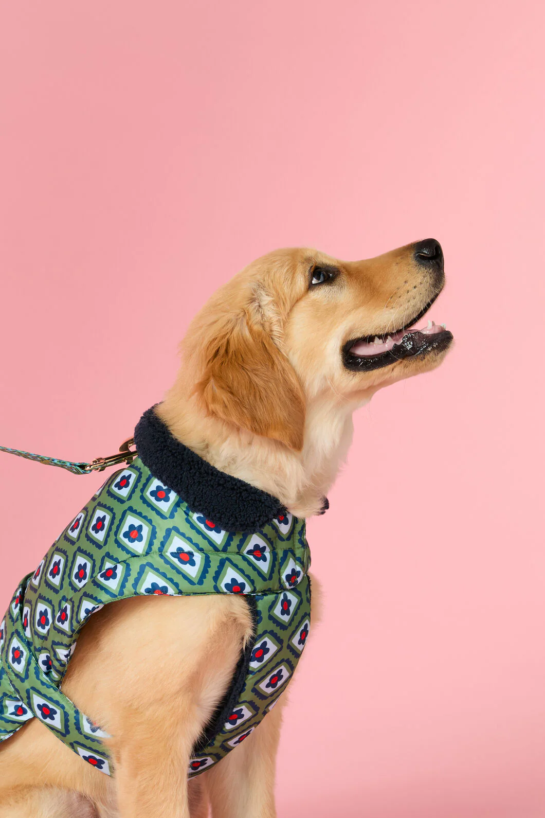 Mosaic Flower Dog Puffer