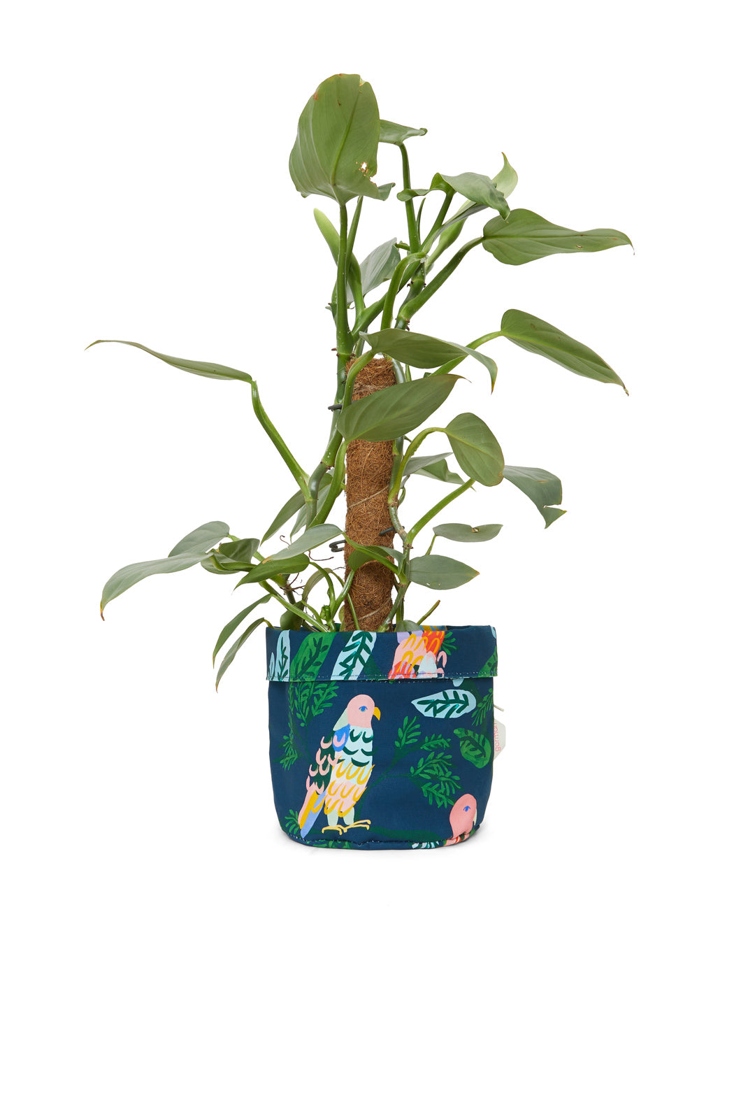 Flight Planter Medium