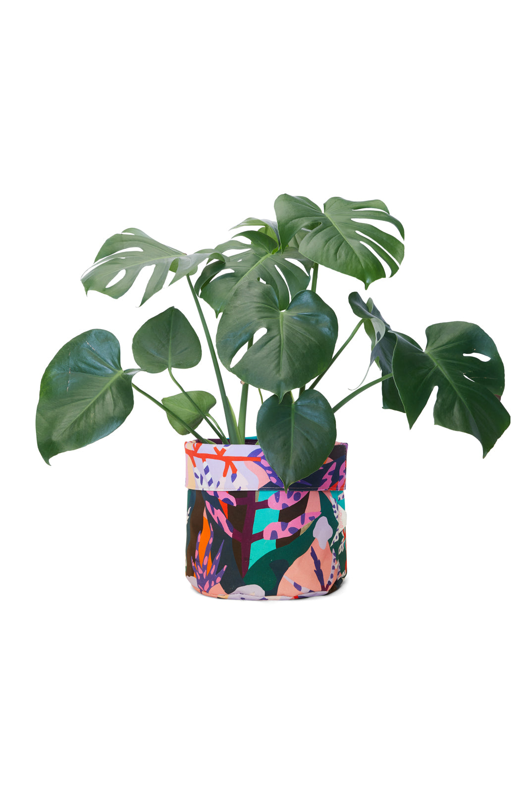 Summers Eve Planter Large