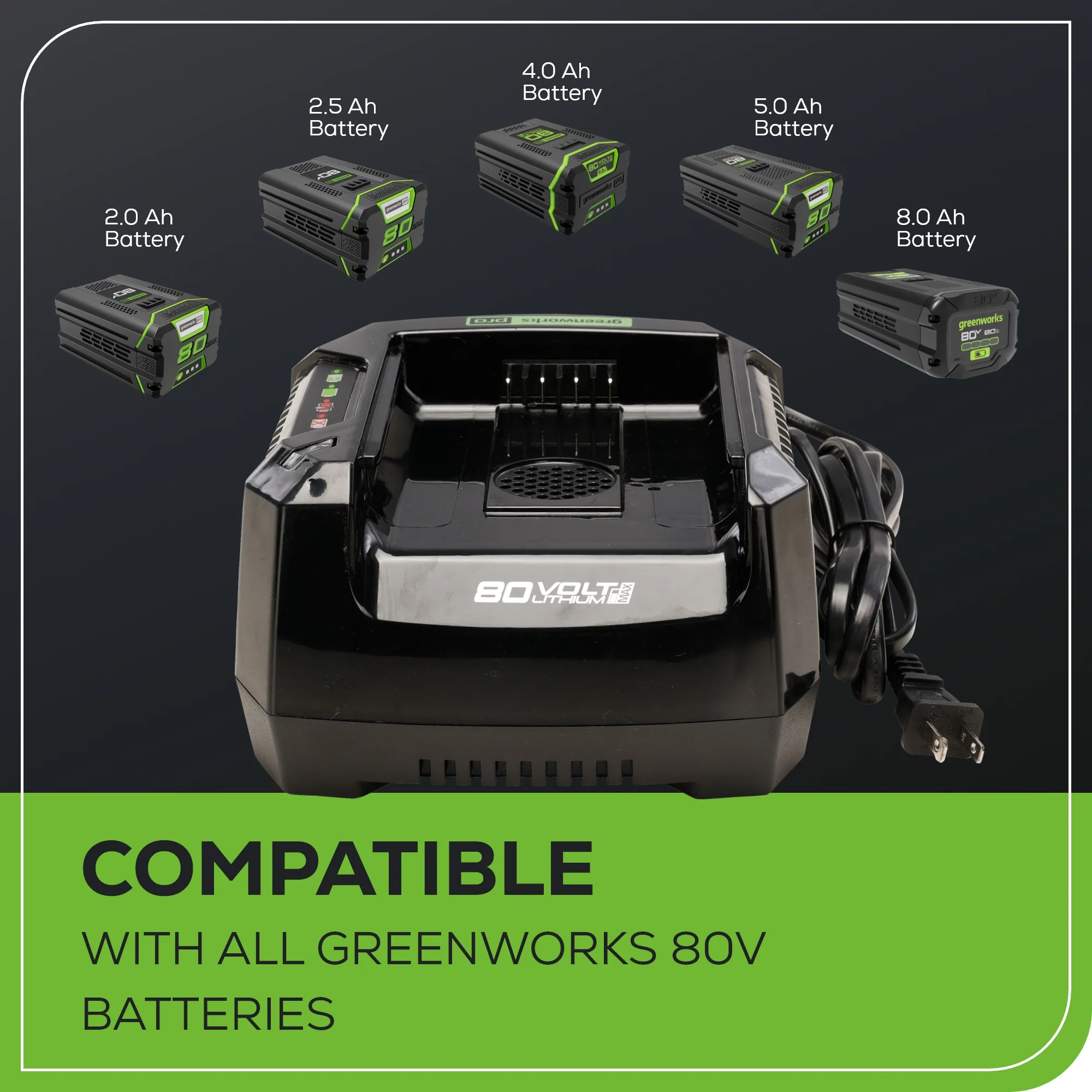 RENEWED 80V 6A Battery Charger