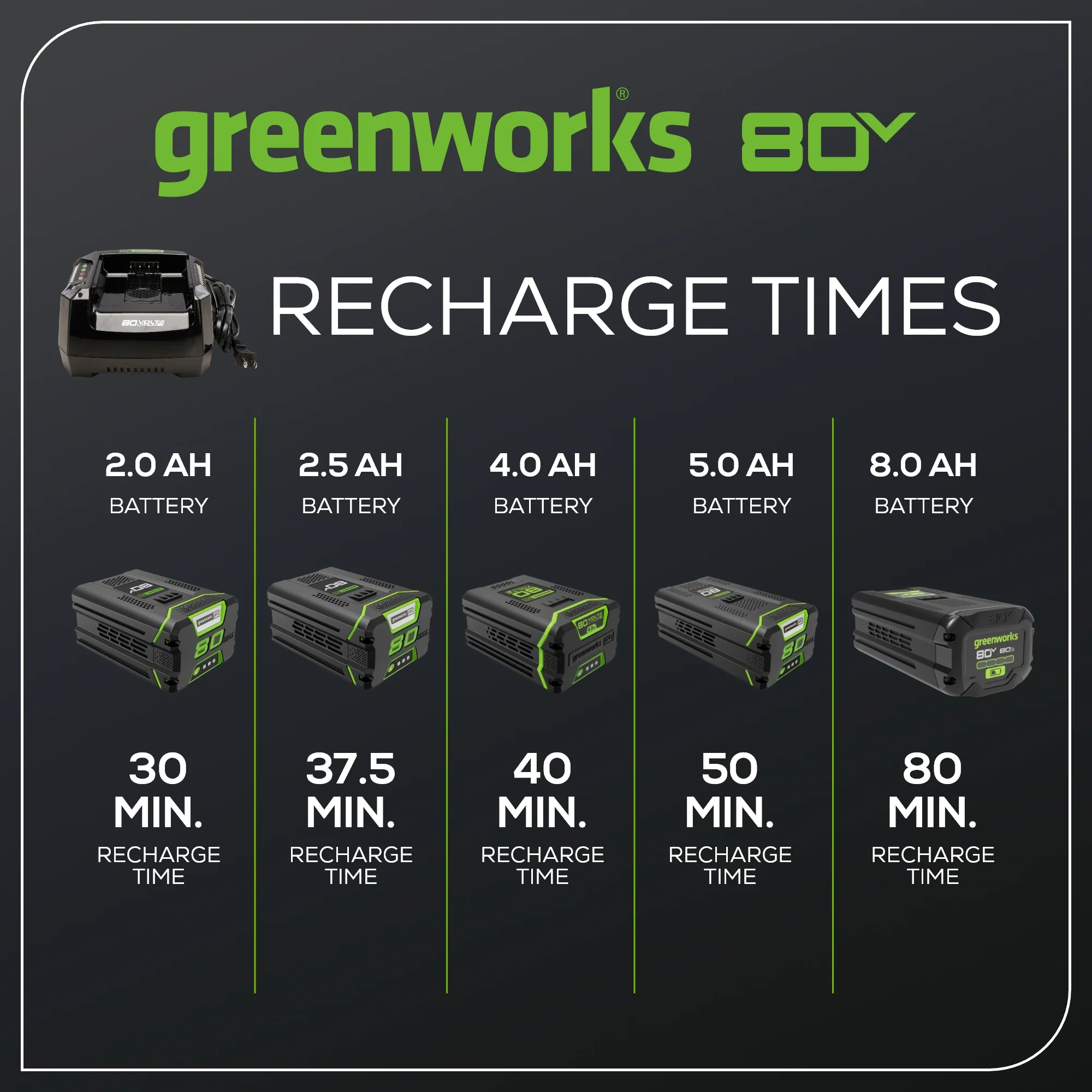 RENEWED 80V 6A Battery Charger