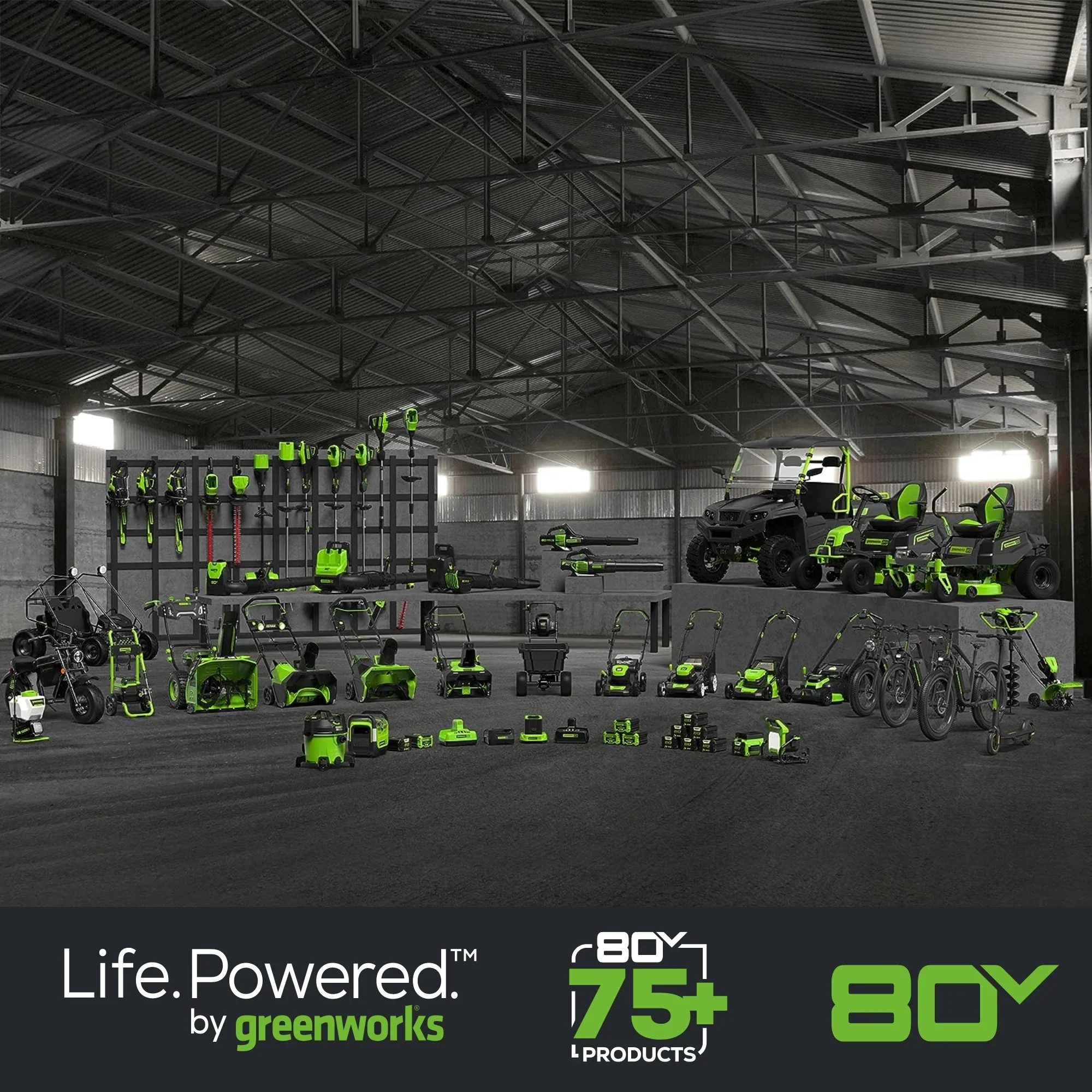 80V 20 Cordless Battery Single-Stage Snow Blower (Tool Only)