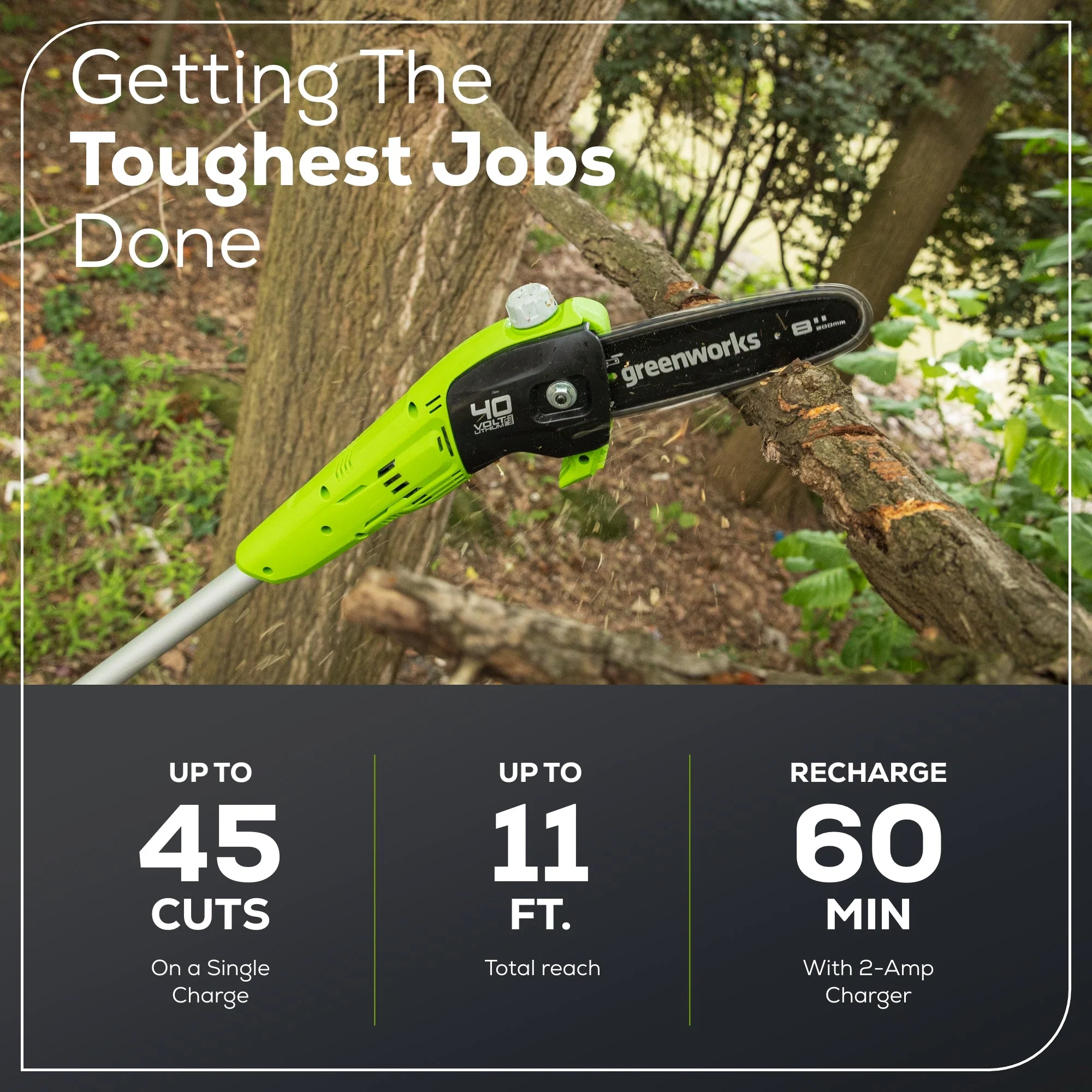 40V 8 Cordless Battery Pole Saw (Tool Only)