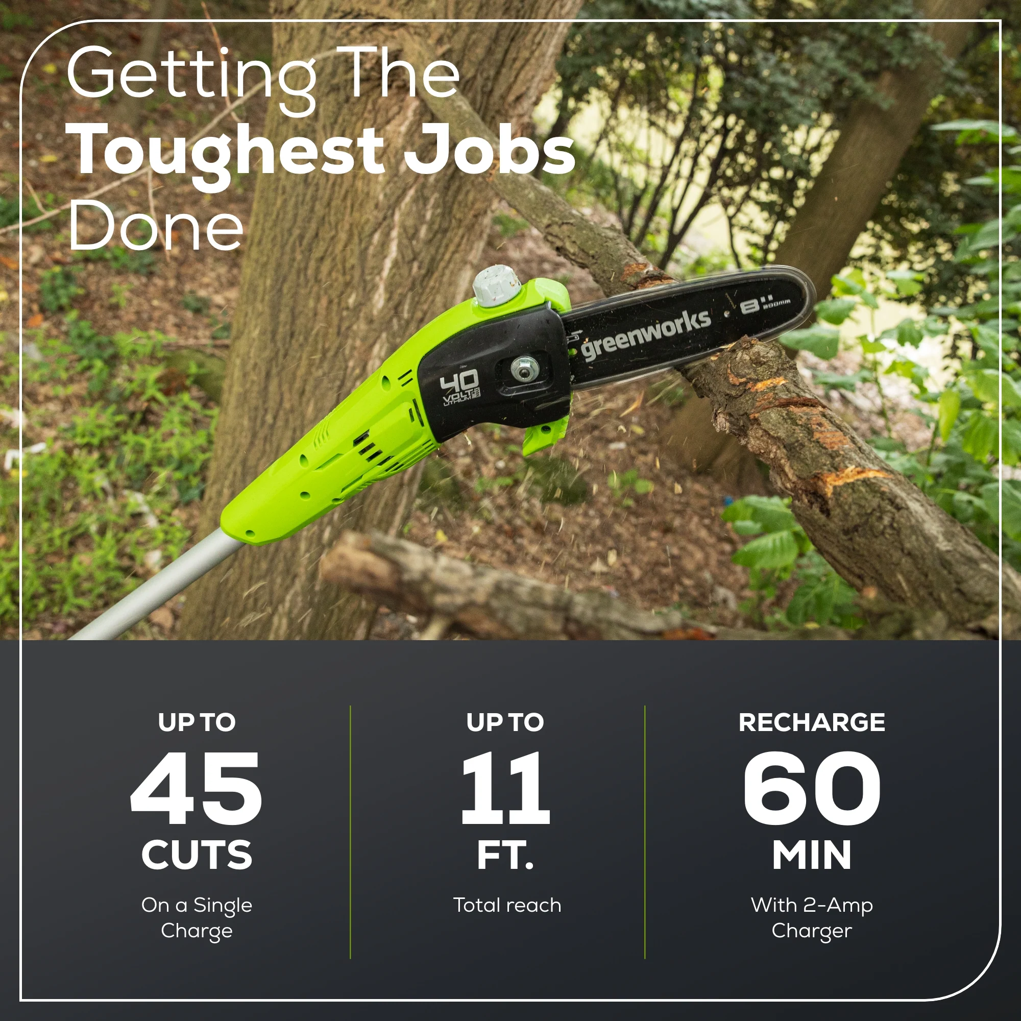 40V 8 Cordless Battery Pole Saw w/ 2.0 Ah Battery & Charger