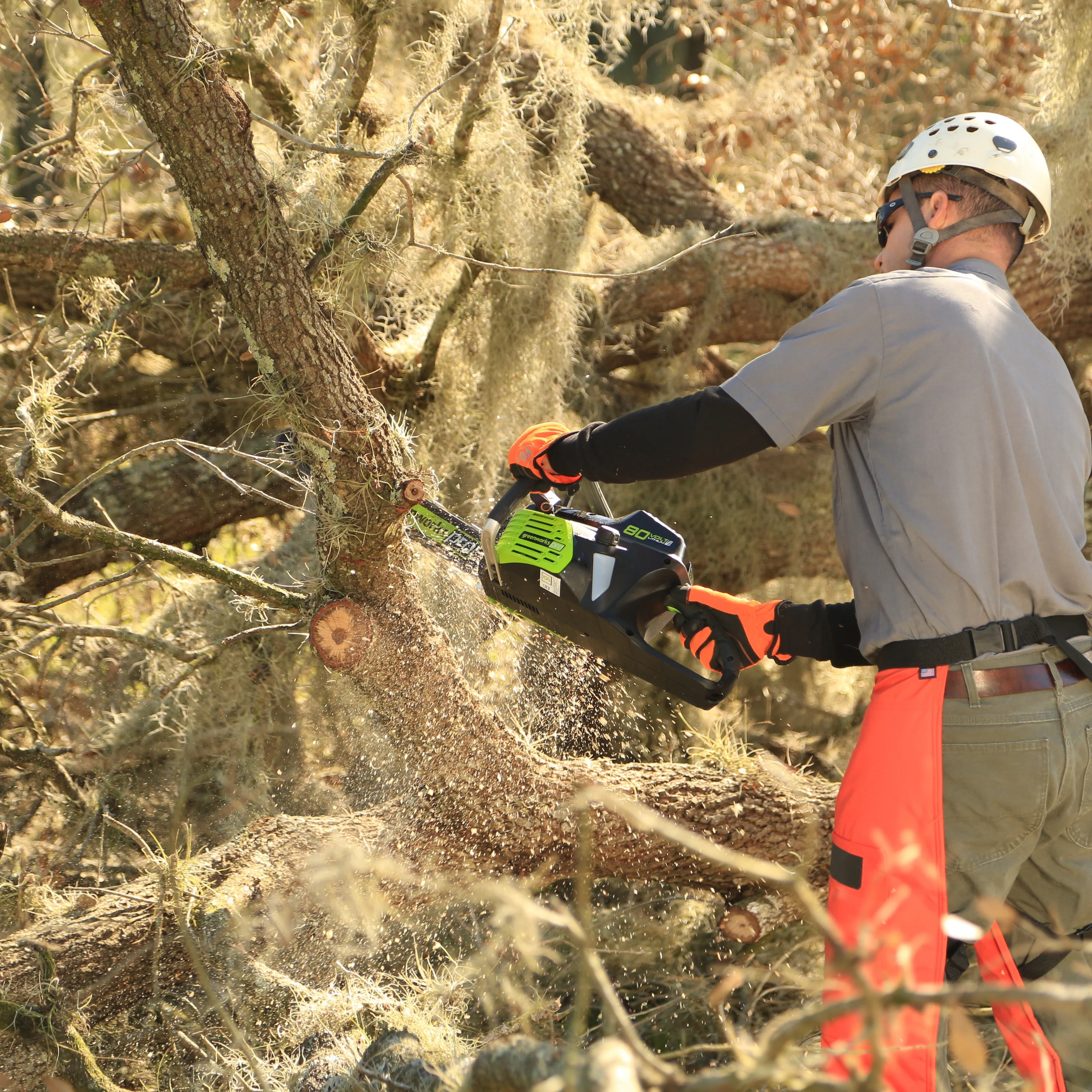 80V 18 Cordless Battery Chainsaw w/ 2.0Ah Battery & Charger