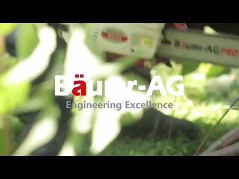 BAUMR-AG 25CC Petrol Chainsaw Arborist 10" Bar E-Start Tree Pruning Garden Chain Saw