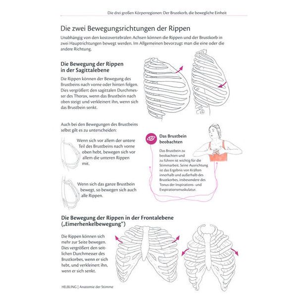 Helbling Verlag Anatomie der Stimme