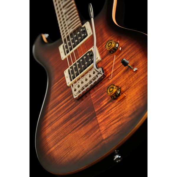 PRS SE Custom 24 BG