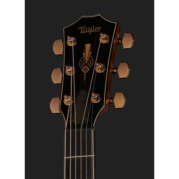 Taylor C24ce Grand Auditorium Custom