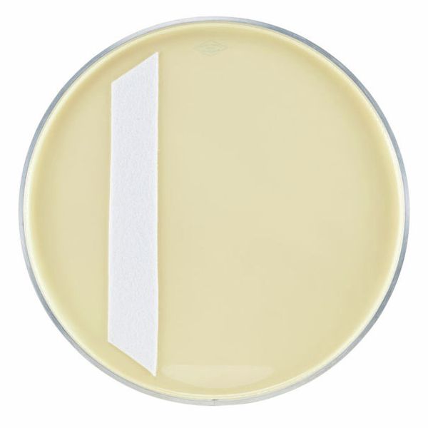 Aquarian 22" Vintage Texture Coated BD