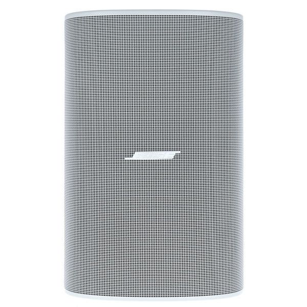 Bose Professional DesignMax DM6SE white