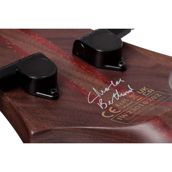 Schecter Charles Berthoud CB-4