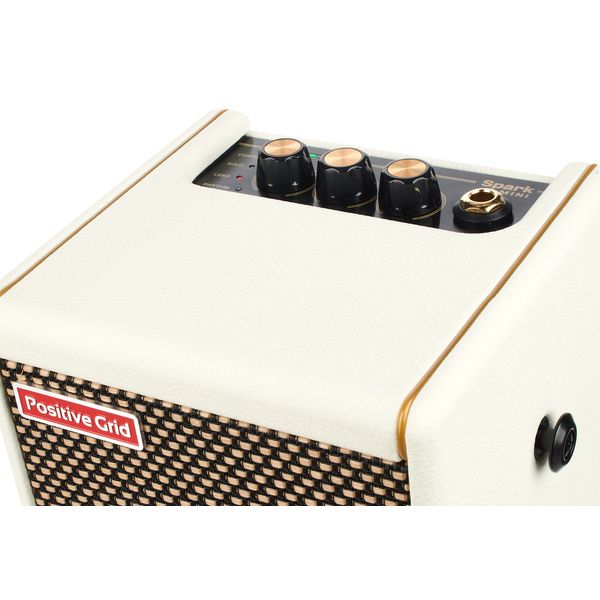 Positive Grid Spark Mini PW