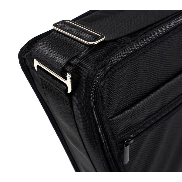 Horst Wünsche Soft Bag for Hammered Dulcimer