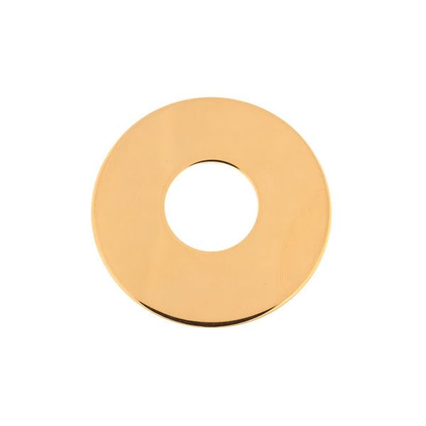 Schaller Toggle Switch Plate G