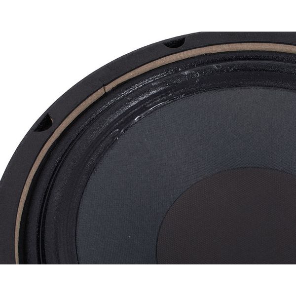 the box Speaker 10-250/8-A