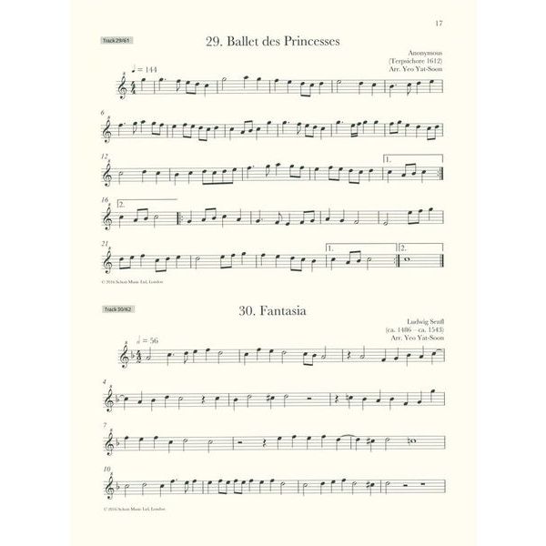 Schott Renaissance Recorder 2