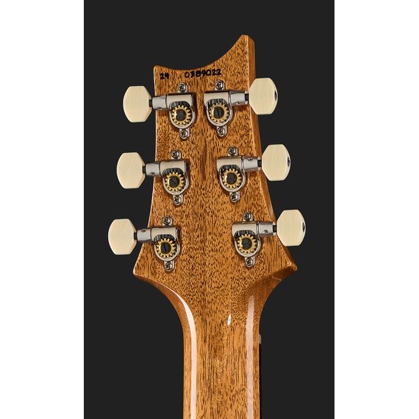 PRS DGT Birds Charcoal '24