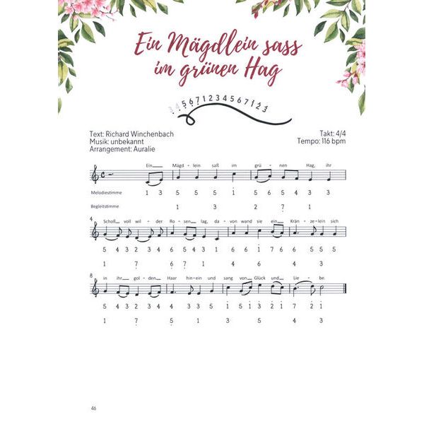 Claudia Gro Steel Tongue Drum Liebeslieder